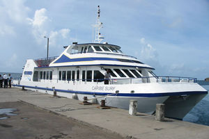 tourist excursion passenger ship / catamaran