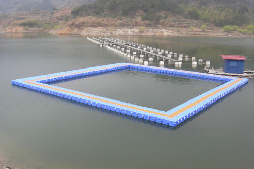 modular floating dock for aquaculture ZY-P00 Zhongya Marine