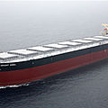 bulk carriers cargo ship / Capesize - 77000 - 174000 DWT