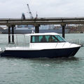 catamaran cabin-cruiser / outboard / sport-fishing - BLUE HAVEN