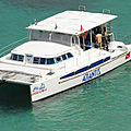 catamaran express-cruiser / custom-made - TURIMCAT 430