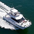 catamaran express-cruiser / flybridge - 42