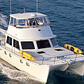 catamaran express-cruiser / flybridge / motor-boats 2 cabins - P-47