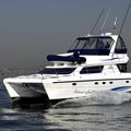 catamaran express-cruiser / flybridge / sport-fishing - POWERCAT 450