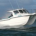 catamaran express-cruiser / sport-fishing - 9000 KINGFISHER