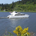catamaran luxury motor-yacht / flybridge - PEDIGREE CAT 60