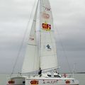 catamaran sailboat / cruiser-racer / serial - FREYDIS 50 RACING