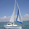 coastal cruising sailboat / transportable - CP 23 PILOTHOUSE