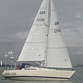 cruiser mainsail - VOYAGER OCEAN