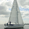 cruiser mainsail - PERFORMANCE