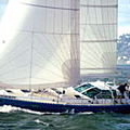 cruiser mainsail / tri-radial - PERFORMANCE