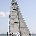cruiser-racer genoa sail - VOYAGER RACE