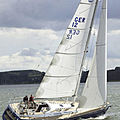 cruiser sailboat / with tiller steering / serial - COMFORTINA 39