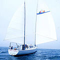 cruiser sailing-yacht / motorsailers / sailboats ketch / serial - WYLIECAT 65