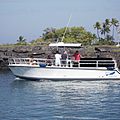 dive-boats boat - 31' DIVE SPECIAL