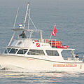 dive-boats boat - 46' DIVE SPECIAL