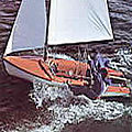 double sailing dinghy / handed single trapeze - CL CODE 40