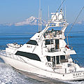 flybridge luxury motor-yacht / sport-fishing - MARY P 88' SPORT