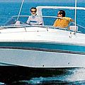 in-board cabin-cruiser / sport / 4-berth - 32'