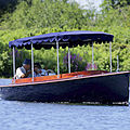 in-board day-cruiser / motor-boats classic / canal - FANTAIL 217