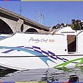 in-board pontoon boat / sterndrive - 22 PARTY CAT MX