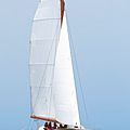 luxury yachts catamarans sailboat / cruiser / with carbon mast / serial - TYPE 11