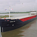mini-bulkers cargo ship - LIMBO SERIES