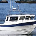 outboard cabin-cruiser / sport-fishing - EXPLORER 2400