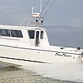 outboard cabin-cruiser / sport-fishing - KENAI 2600