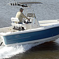 outboard center console boat / side console / sport-fishing / with T-top - BAY SPORT 220