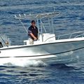 outboard center console boat / sport-fishing / with T-top - 227