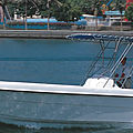 outboard center console boat / sport-fishing / with T-top - 31 CC