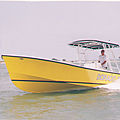 outboard center console boat / twin engine / sport-fishing / with T-top - 30 LE