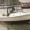 outboard day-cruiser / sport-fishing - SEA RANGER 19