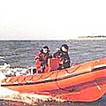 outboard inflatable boat / semi-rigid / rescue boats - RIBO 600