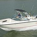 outboard runabout / bow-rider - 230 VANTAGE