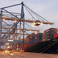 unloading container gantry crane - STS
