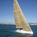 racing sailboat / motor-boats carbon / serial - X-TREME 37