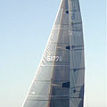 keelboat jib / one-design / sport / for regatta - IDEAL 18