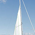 sailboats furler - FURLEX 304S