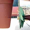 rudder for ships - TLKSR®