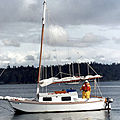 sailboat day-sailer with cabin / serial - LICHEN