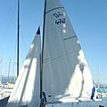 multihulls sails jib / sport / Hobie Cat 14 -