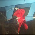 ships propeller - SSRP