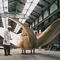 ships propeller - SSRP