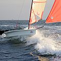 skiff sailing dinghy / single-handed / asymmetric spinnaker - STEALTH