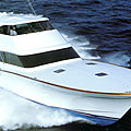 convertible luxury motor-yacht / luxury yachts motor with enclosed flybridge / sport-fishing - 57 ODYSSEY