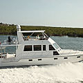 trawler luxury yacht / flybridge - IP535