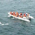 twin engine inflatable boat / outboard / center console / semi-rigid - MOON WORK 1040