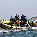 utility inflatable boat / outboard / center console / semi-rigid - RIBCRAFT 6.4